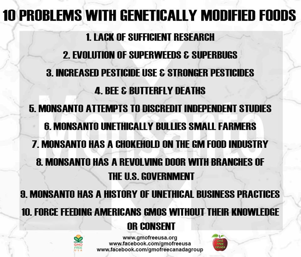 10 Problems with Genetically Modified Foods